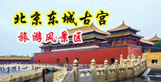 四川骚屄熟女中国北京-东城古宫旅游风景区